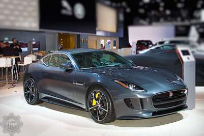 Sporty Jaguar